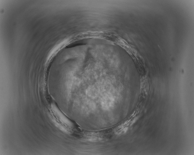 X0000084530293200703091635