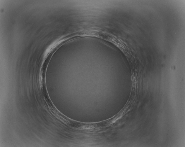 X0000084530294200703091635