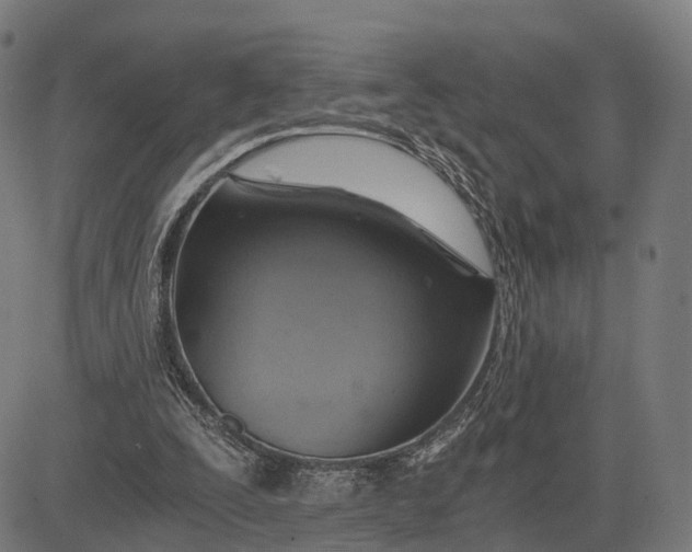 X0000084530295200703091635