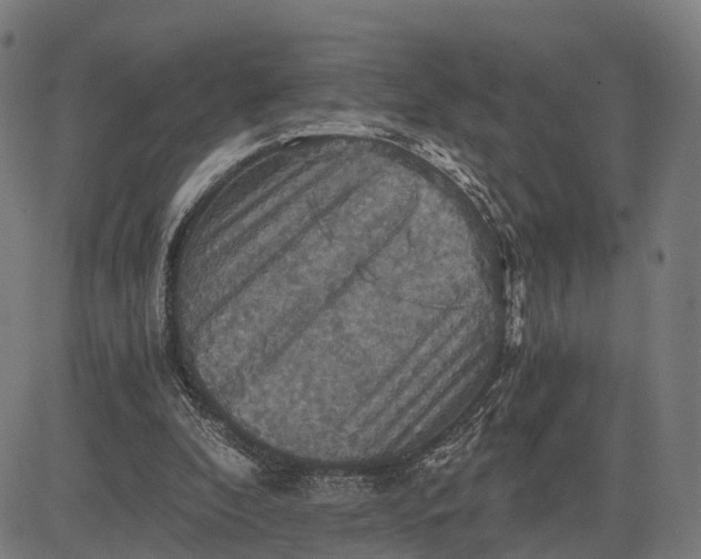 X0000084530296200703091635