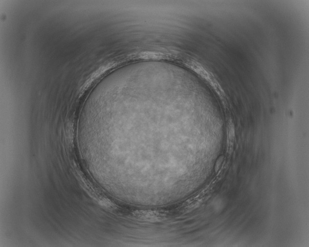 X0000084530297200703091635