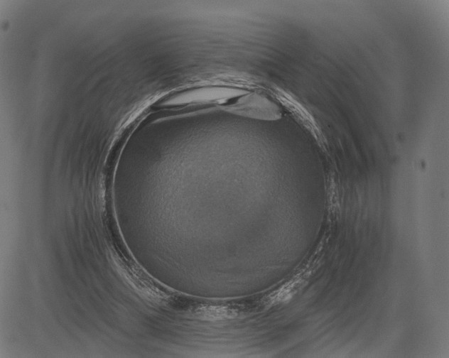 X0000084530298200703091635