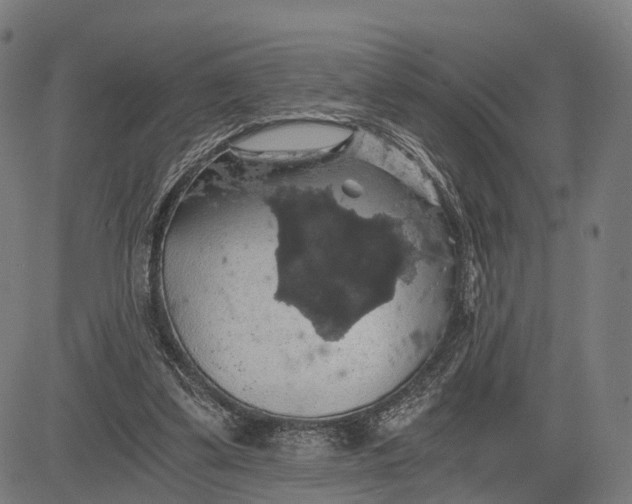 X0000084530299200703091635