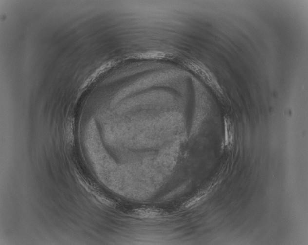 X0000084530300200703091635