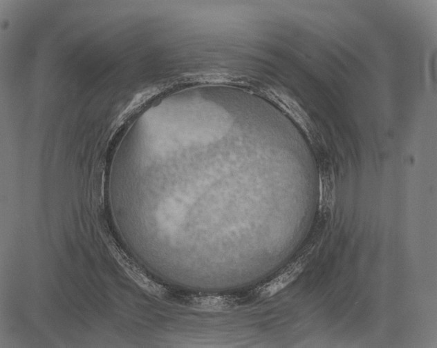 X0000084530301200703091635