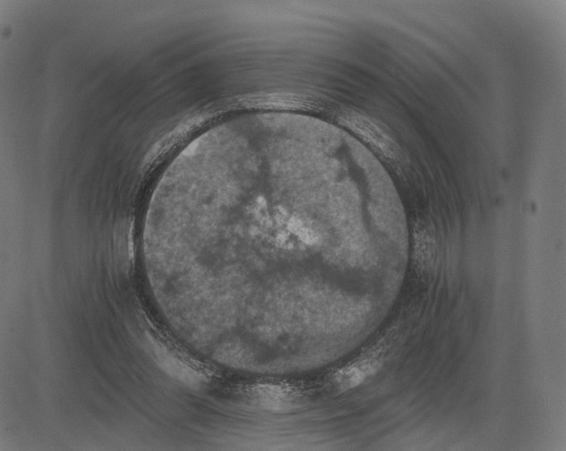 X0000084530302200703091635