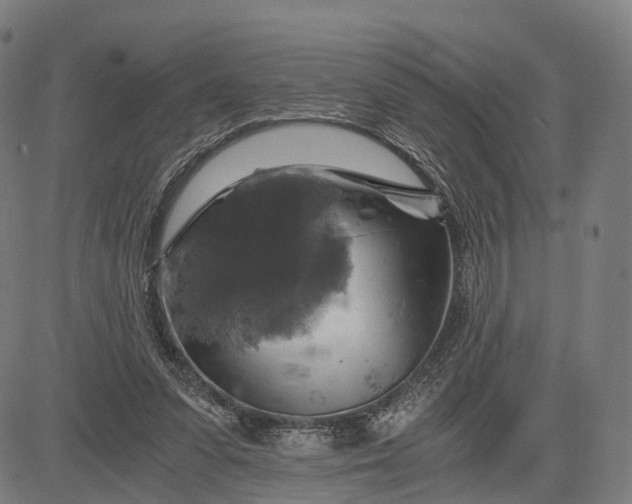 X0000084530303200703091635