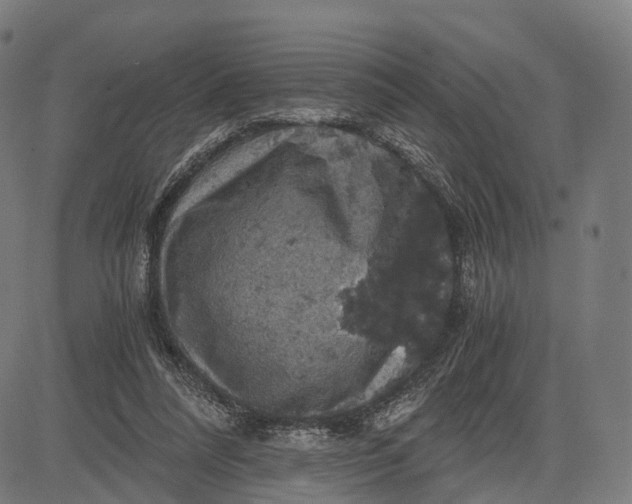 X0000084530304200703091635