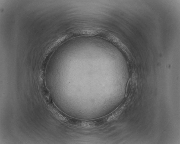 X0000084530305200703091635