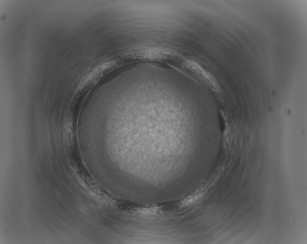 X0000084530306200703091635