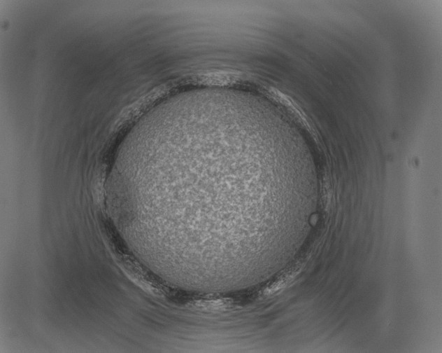 X0000084530307200703091635