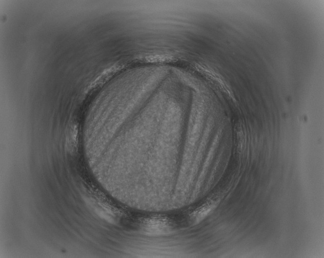 X0000084530308200703091635