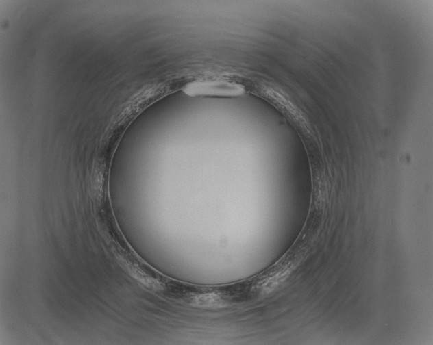 X0000084530309200703091635