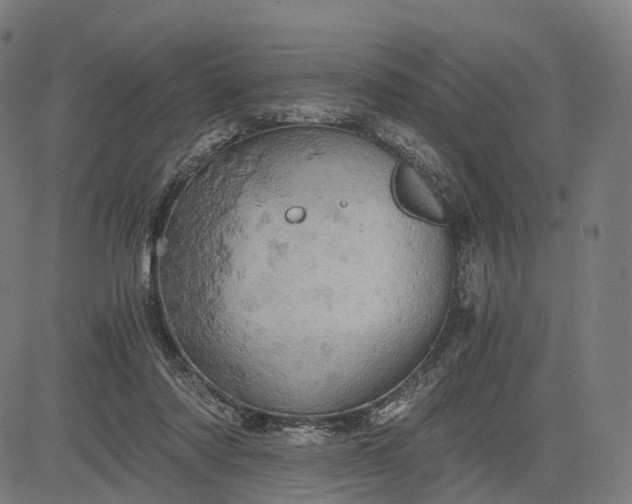 X0000084530310200703091635