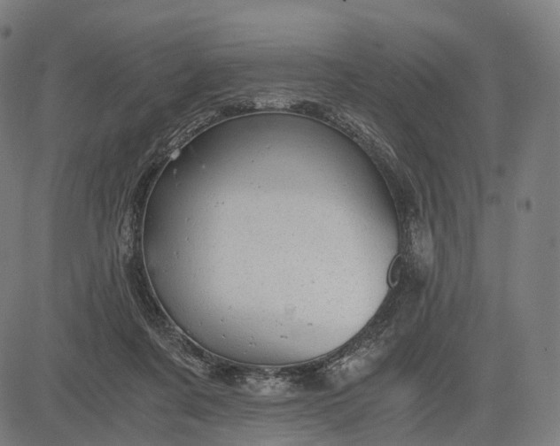 X0000084530311200703091635