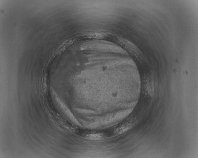 X0000084530312200703091635