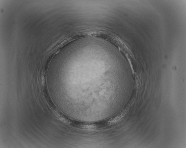 X0000084530313200703091635