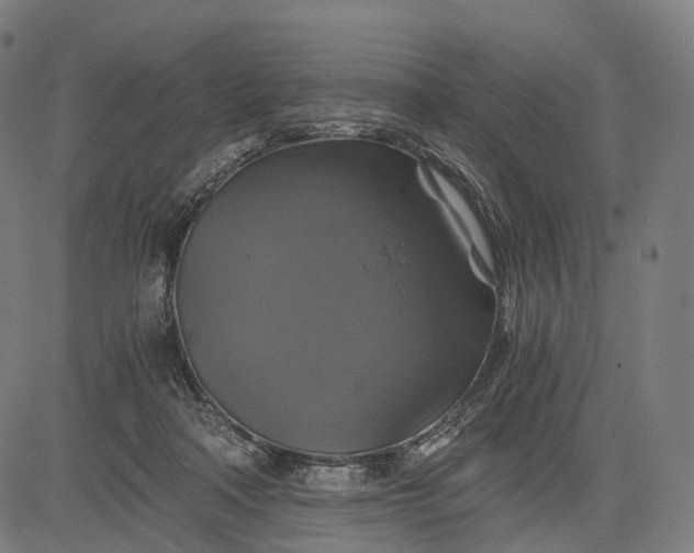 X0000084530314200703091635