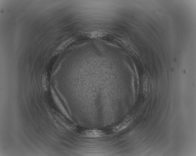 X0000084530316200703091635