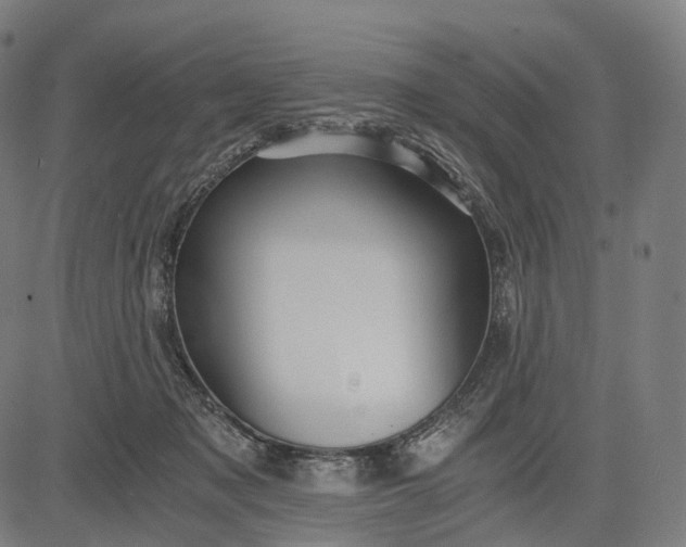 X0000084530317200703091635