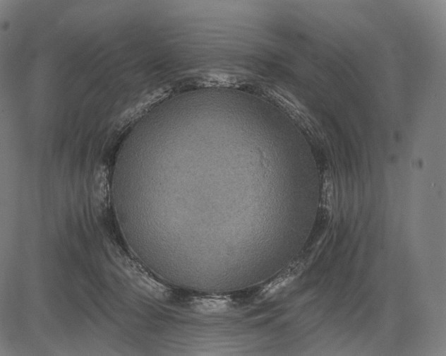 X0000084530318200703091635