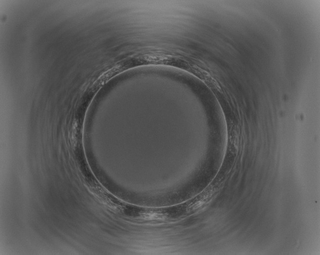 X0000084530319200703091635