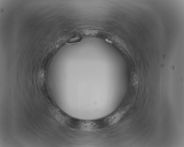 X0000084530321200703091634