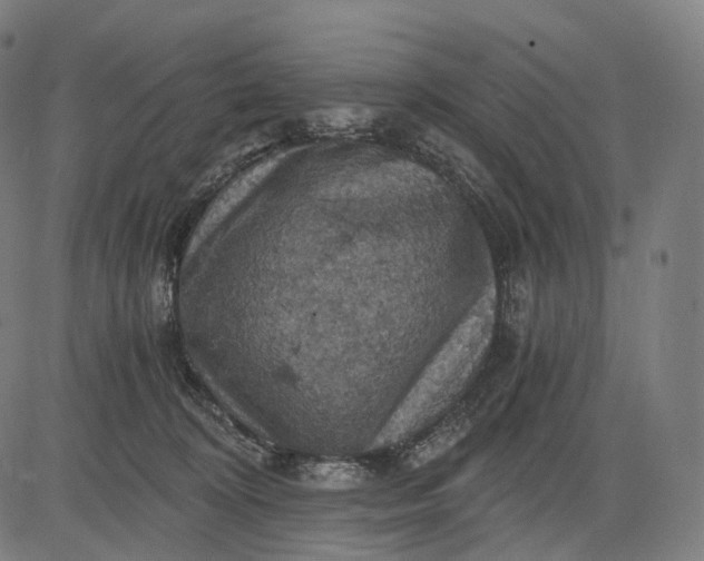 X0000084530324200703091634