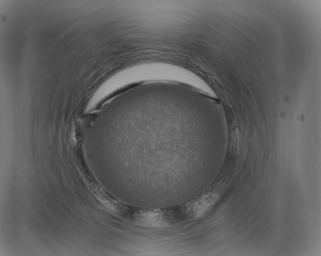 X0000084530325200703091634