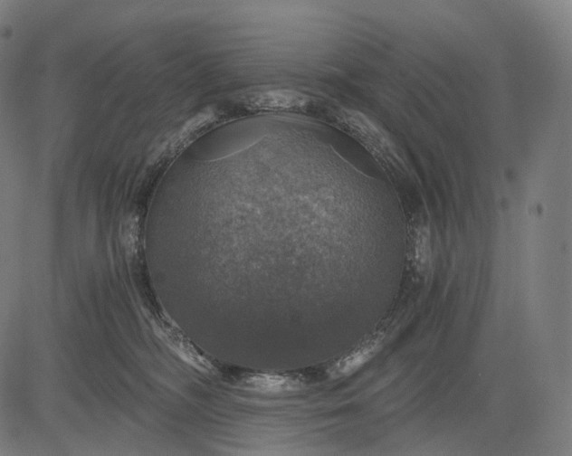 X0000084530326200703091634