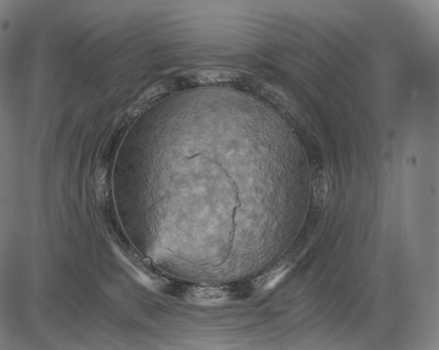 X0000084530327200703091634