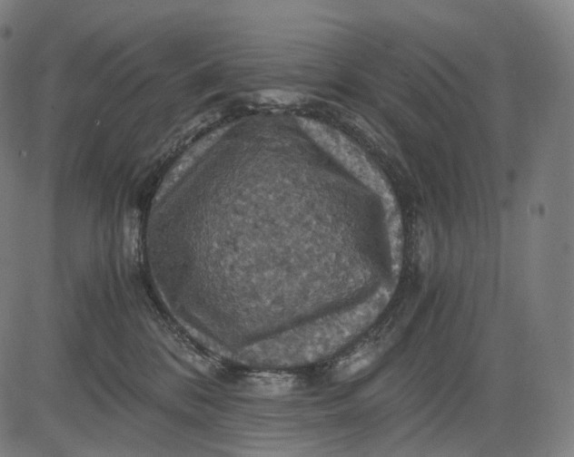 X0000084530328200703091634