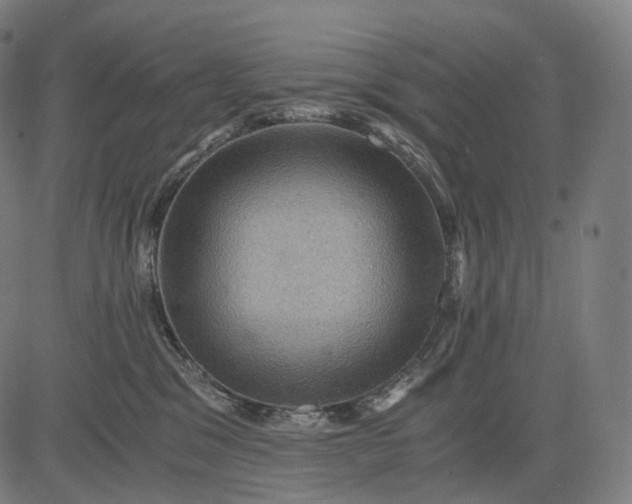 X0000084530329200703091634