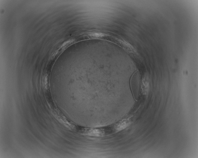 X0000084530330200703091634