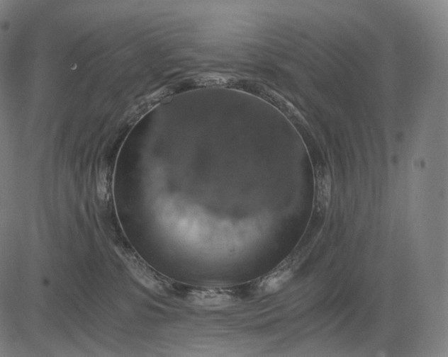 X0000084530331200703091634