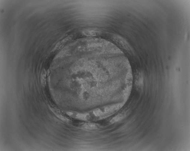 X0000084530332200703091634