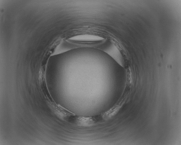 X0000084530333200703091634