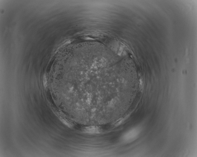 X0000084530335200703091634