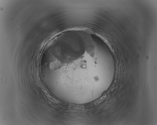 X0000084530337200703091633