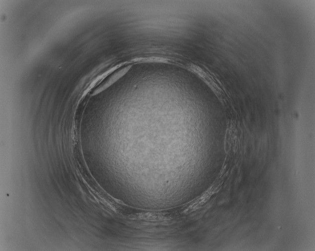 X0000084530338200703091633