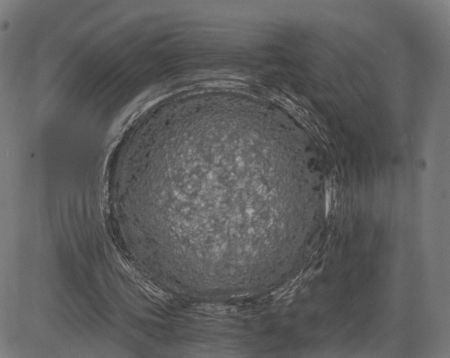 X0000084530339200703091633