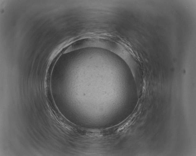 X0000084530340200703091633