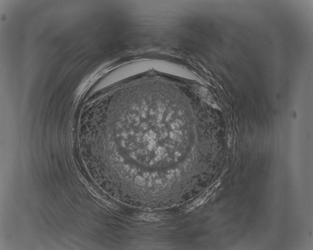 X0000084530341200703091633