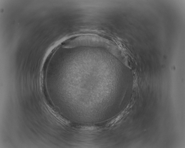 X0000084530342200703091633