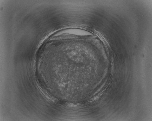 X0000084530346200703091634