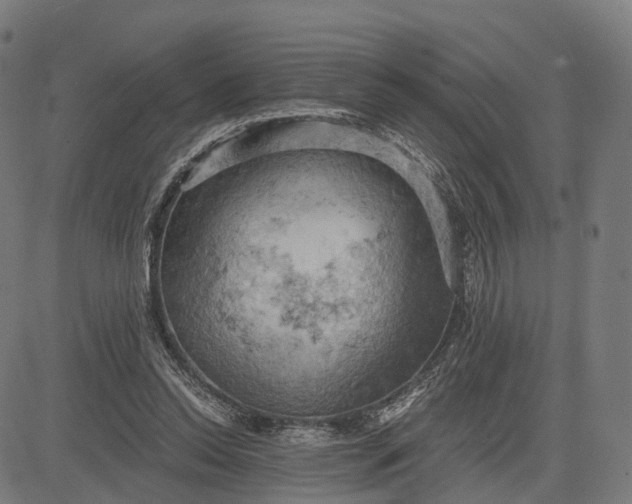 X0000084530350200703091634