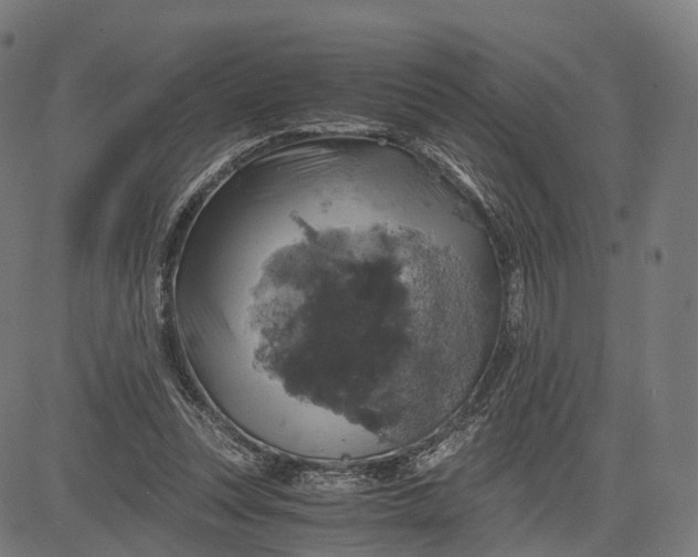 X0000084530351200703091634