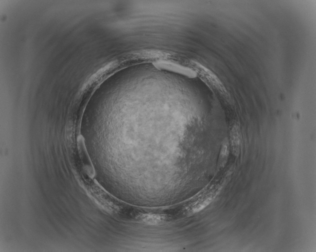 X0000084530352200703091634