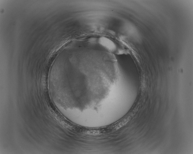 X0000084530353200703091634