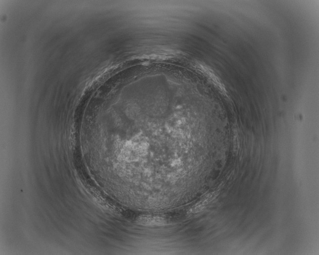 X0000084530354200703091634